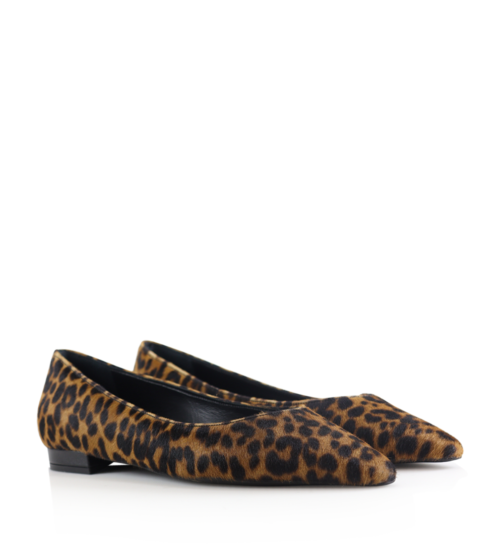 Gisela ballerinaer, leopard