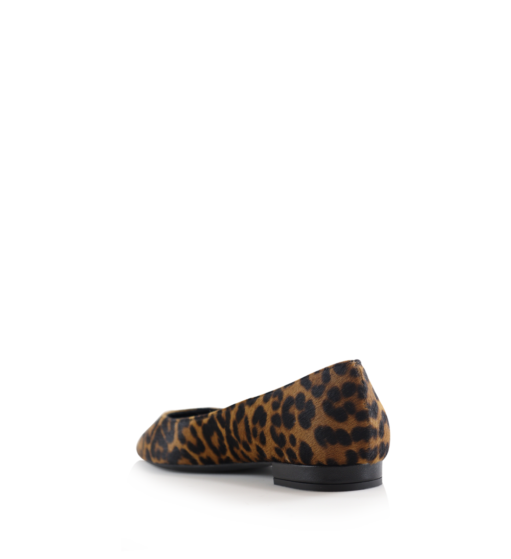 Gisela ballerinaer, leopard