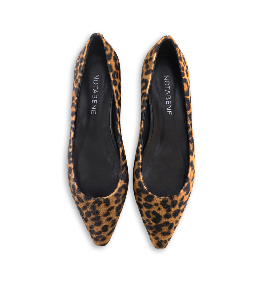 Gisela ballerinaer, leopard