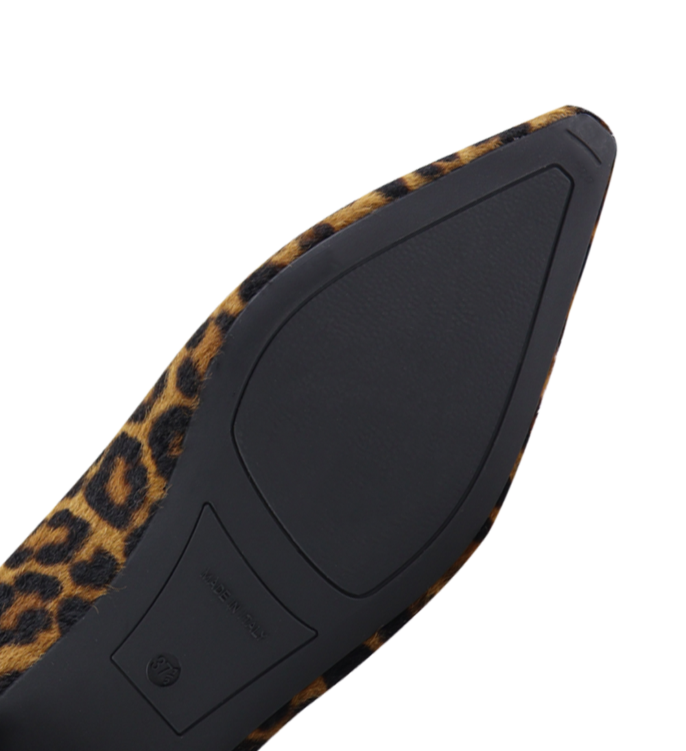 Gisela ballerinaer, leopard