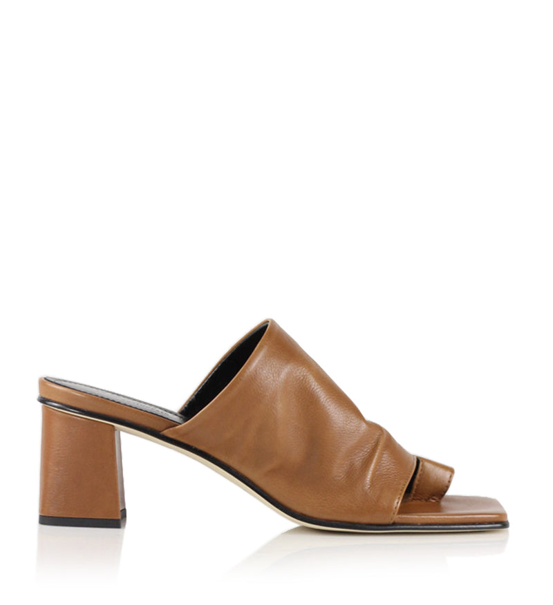 Notabene Ariana, Brown