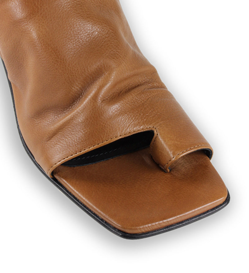 Notabene Ariana, Brown